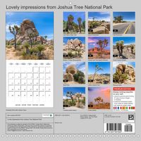 Calendar back - Lovely impressions from Joshua Tree National Park