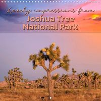 Calendar front - Lovely impressions from Joshua Tree National Park